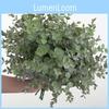 Eucalyptus Globulus Plant Foliage For Home Enhancement Photography Prop