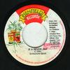 7-дюймовая пластинка SHADOW MAN - If A Never Jah END0020 Henfield Record 1999 Ямайка Регги, Ска и Даб Б/У