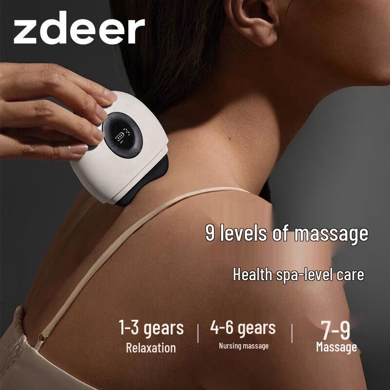 Zuodian Mini Bian Stone Electric Guasha Massager CN plug (adapter included)