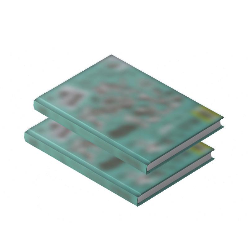 [ПРЕДЗАКАЗ] KickFlip – Мой Первый Кик Моя Первая Поездка Вер.