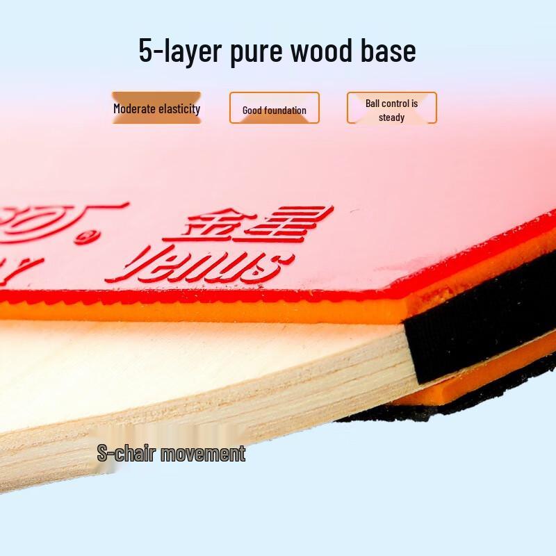 WEZHO 4-Star Training Table Tennis Racket