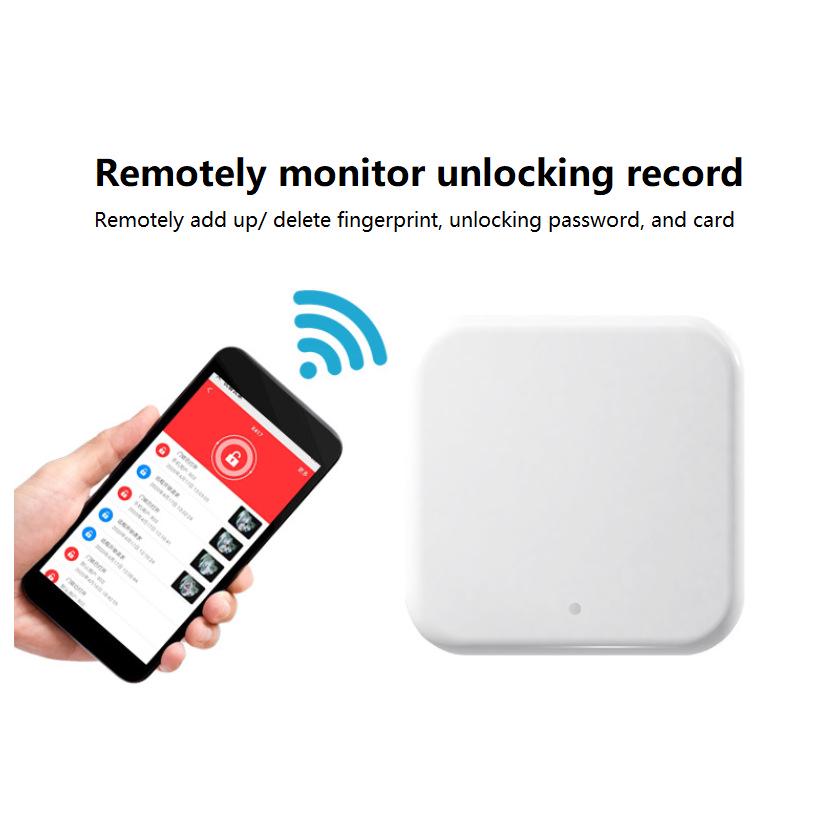 Graffiti Smart Waterproof Key Box with TUYA and TTlock - Fingerprint, Password, and App Control.