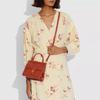 COACH Willis 18 cowhide top handle shoulder crossbody handbag small size women's brass/red sand