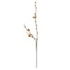 Artificial Persimmon Branch Realistic Fall Faux Twig Stem with Leaves And Persimmon Fruits for Home Office Wedding Vase Filler Table Centerpiece