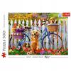 37450 "500 - Dog Adventure