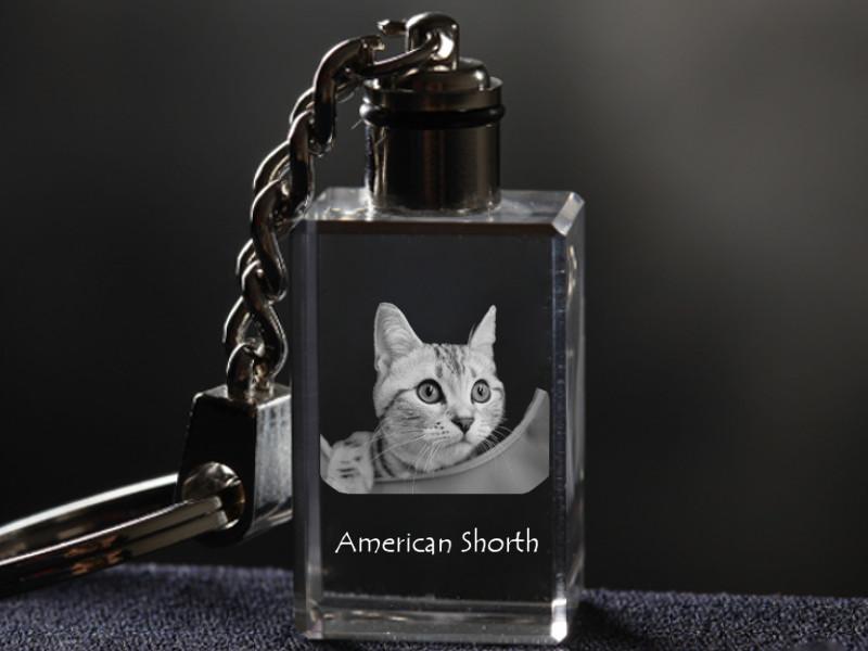 American Shorthair - Crystal Pendant with Cat Photo, Illuminated Pendant, Unique Gift by Art-Dog Brand