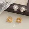 Commuter Versatile Pearl Zircon Stud Earrings Metal Fireworks Niche Earrings Personality Exquisite Design Fashion Earrings Women