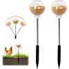 Spring Swing Chicken Pecking Foraging Toy, Slow Feed Enrichment with Ground Pegs for Poultry Ducks Parrots, Coop Accessory