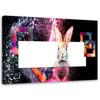 Canvas Print Rabbit Animals