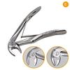 7pcs/set Stainless Steel Dental Children's Tooth Extraction Forcep Pliers Kit Dental Plier Kit Dental Product