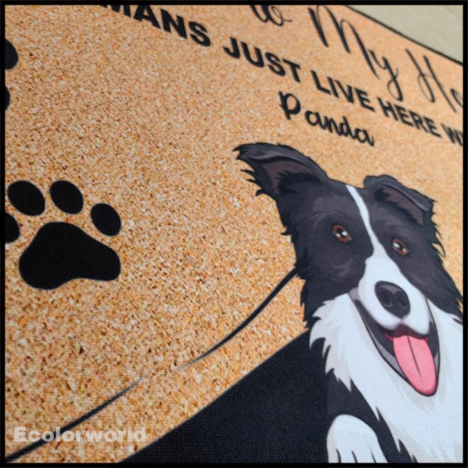 Personalized Pets Cartoon Mat Custom Dog Cat Name Doormat Rug Welcome To Our Home Floor Mats Carpet Home Decor Accessory Gift