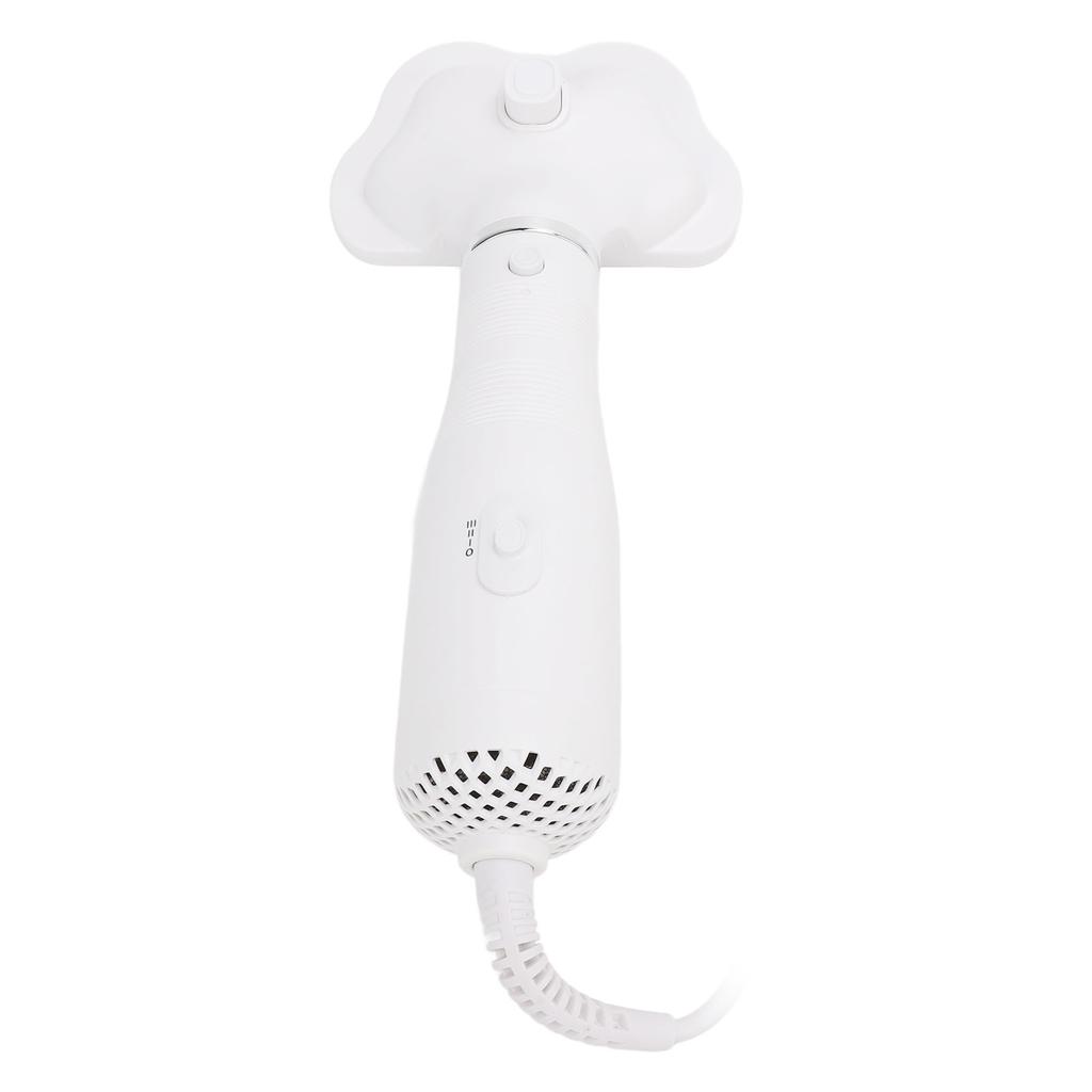 Pet Hair Dryer Brush Detachable Steel Needle Comb Low Noise Hot Air Blower for Dog Grooming and