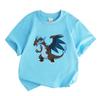 Kids Boys Girls Crew Neck Short Sleeve 100% Cotton T-shirt, Cool Blue Fire Dark Dragon Cartoon Printed Casual Breathable Tee for Daily Outdoor Wear Su