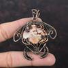 Birds Eye Jasper Pendant Copper Wire Wrapped Pendant Copper Jewelry Handmade Pendant Wire Wrapped Gemstone Jewelry Tortoise Pendant For Gift