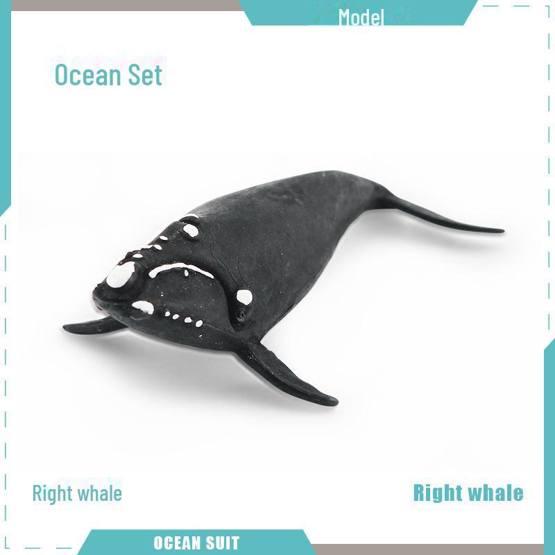 Набор моделей морских животных: Акула, черепаха, дельфин, кит, пингвин, краб и существа морского дна
