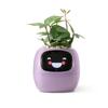 PlantsIO Smart Pet Robot Guidance for Plant Care with Adorable Plant Companion with Rich Gesture Neat Desk Setup Gift Planter, Emojis, Interactions,