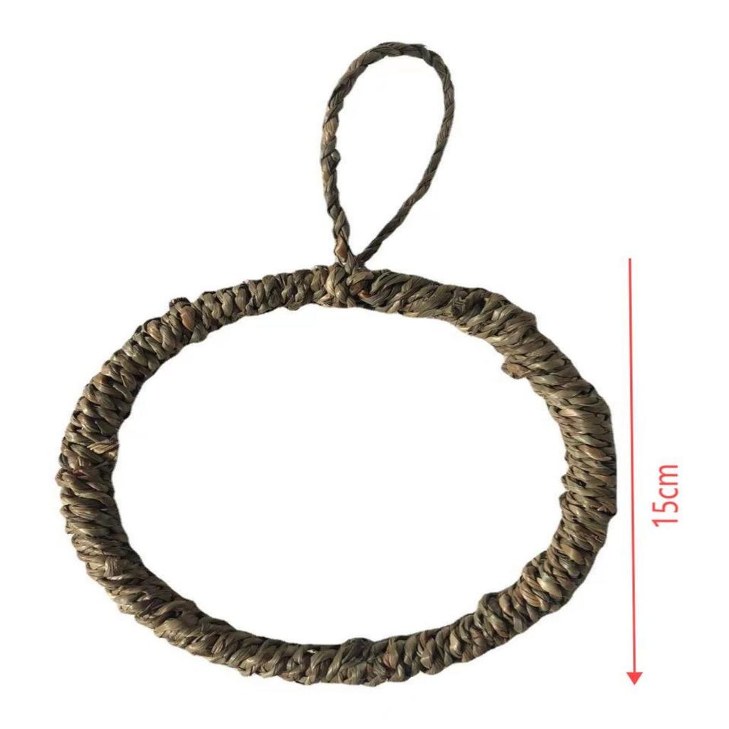 Rattan Hand-woven Round Parrot Hanging Ring Bird Nest Pet Chew Stick Lizard Hammock Cage Toy Bird Swing Zhenze Cao County