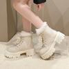 Women Snow Boots 2025 New Winter Warm Plush Street Design Thick Bottom Motorcycle Boots Fashion Cross Lace Fashion Boots Zapatos