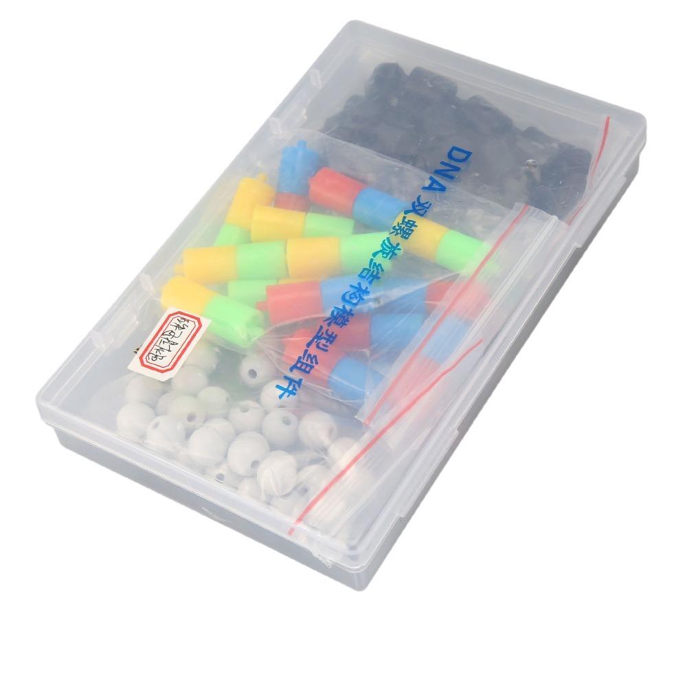 Plastic Material Dna Double Helix Model Spiral Shape Genetic Variation Model Structure Observation