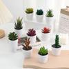 Cactus Succulent Artificial Succulent Bonsai Fake Plants Mini Succulent Potted  Office