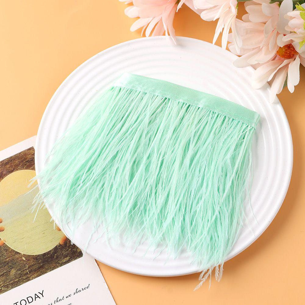 Wedding Dress Feathers Ribbon Ostrich Feathers Trim Plumes Ribbon Selvage 8-10 CM Wide 1 Meter Long