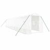 Greenhouse with Steel Frame White 20 m² 10 x 2 x 2 m