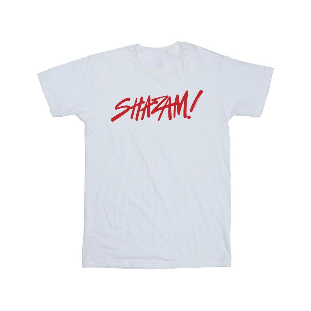 DC Comics Boys Shazam Fury Of The Gods Spray Paint Logo T-Shirt