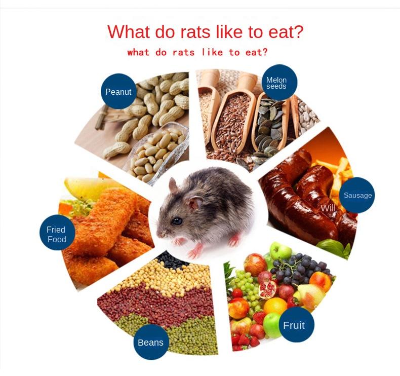 Крысоловка стальная без убийств живая ловля с отверстиями для воздуха ловушка для мышей эффективная санитарная безопасная клетка для мышей хомяки бурундуки живой грызун