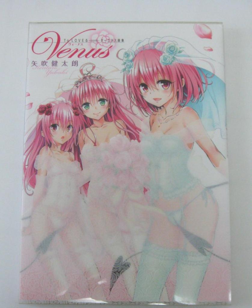 [USED] Kentaro Yabuki To Love-Ru Darkness Art Book Set of 2 (Includes First-Time Bonus)