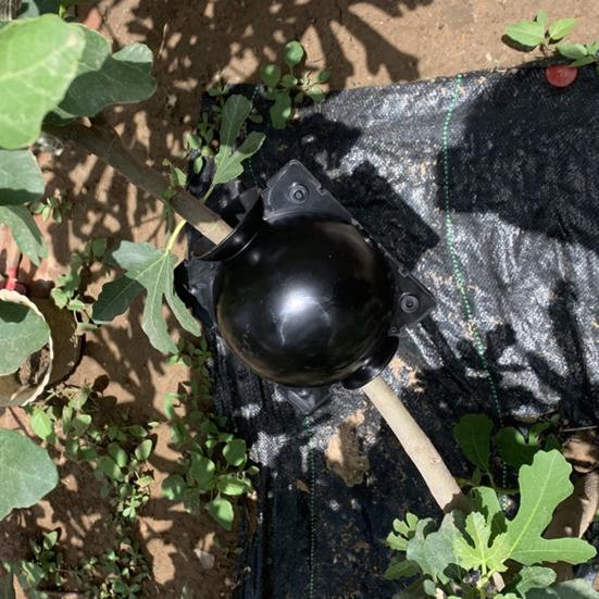 Шар для укоренения растений, ящик для выращивания, ящик для прививки корней, контейнер для разведения, садовый инструмент Yousheng