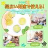 Rimikuru Food Sample Lemon Slices Set for Fruit Display (Lemon, 12-Piece Set)