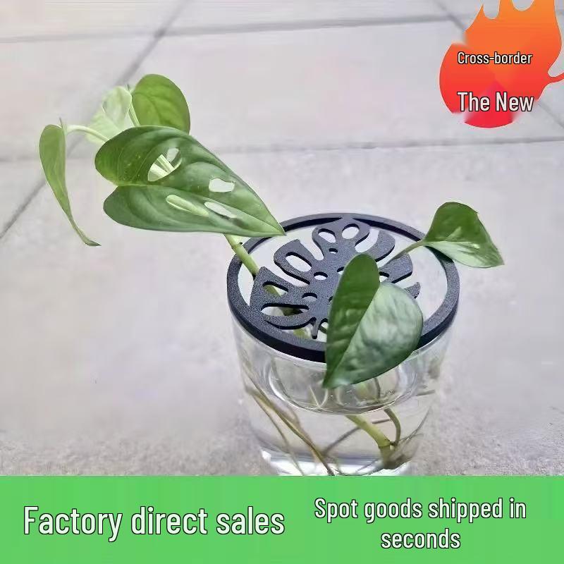 Durable Indoor Plant Propagation Cutting Tray with Anti-Fall Lid