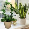 Podpora do roślin pnączy podpórka kwiatów pnących pergola drabinka l 38 cm
