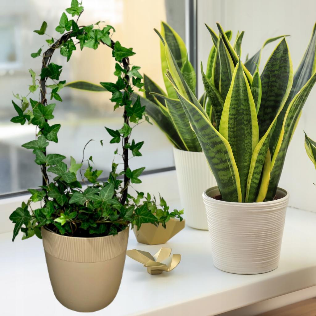 Podpora do roślin pnączy podpórka kwiatów pnących pergola drabinka l 38 cm