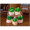 Creative Moss Miniature Artificial Cactus Cartoon Style Resin Garden Decor Piece