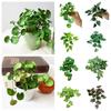 Soft Glue Artificial Plant Green Plants Wall Faux Copper Coin Grass Home Office Wall Hanging Succulent Plants Leaves Home Office