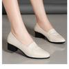 2025 Summer New Middle-aged Women's Shoes Mother Shoes Single Shoes Women's Non-slip Soft-soled Thick Heel Comfortable Casual Work Leather Shoes