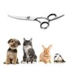 With Safety Round Tips Pet Grooming Shears Silver Pet Hairdressing Curve Scissors  Grooming