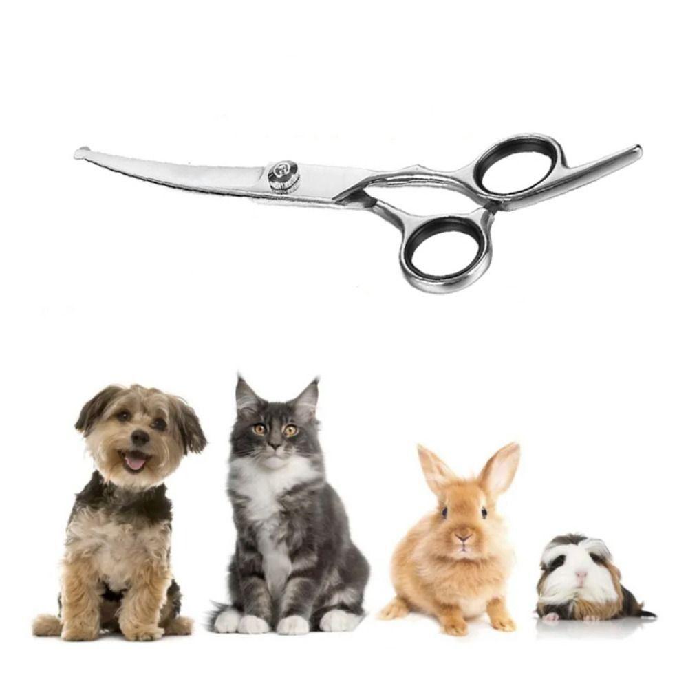With Safety Round Tips Pet Grooming Shears Silver Pet Hairdressing Curve Scissors  Grooming