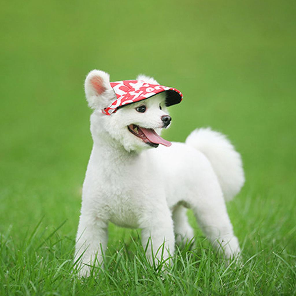  Летняя парусиновая кепка для маленьких домашних животных, бейсбольная шляпа с козырьком для собак, кепка для щенка на открытом воздухе, кепка для домашних животных