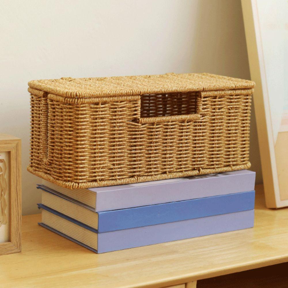 Hand-Woven Imitation Rattan Cable Organizer Box Well-ventilated 2/3/5 Open Slot Desktop Cable Management Box Rustic Style