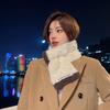 New Scarf Women's Autumn and Winter Warm Plush Scarf Thickened Cute Girl Heart Small Fresh Neck Cover