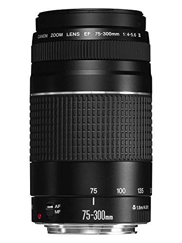 Canon Объектив EF III Zoom Телеобъектив Продукт Черный EF75-300mm F4-5.6