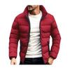 Мужское пальто с воротником-стойкой, длинным рукавом, застежкой-молнией, стеганая куртка, однотонное утолщенное свободное пуховое пальто с боковыми карманами