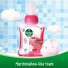Dettol Foam Antibacterial Hand Wash Set