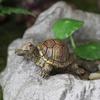 Миниатюрные фигурки черепах для микро-ландшафта, водонепроницаемые, из смолы, миниатюрные украшения, реалистичная статуэтка черепахи