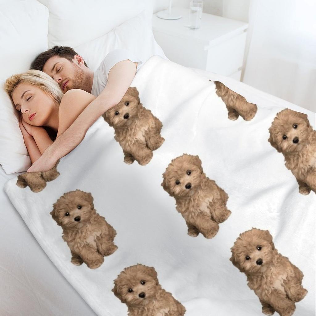 Cute Adorable Maltipoo Throw Blanket Soft Plaid Stuffeds Plaid christmas gifts Blankets