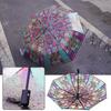 Hand-Painted Design Transparent Umbrella Stained Glass Print Automatic Umbrella  Rain Protection