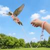 Adjustable Pet Parrot Diaper Escape-Proof Parrot Flying Clothes Bird Flight Suits  Outdoor Flying