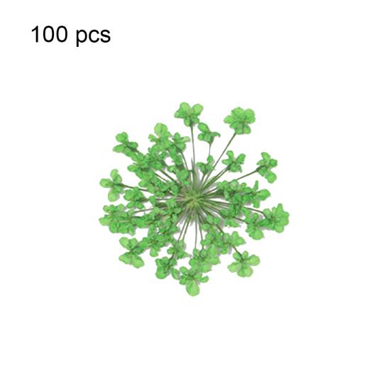 100шт прессованный сушеный цветок Ammi Majus из эпоксидной смолы для ногтей DIY Декор для телефона